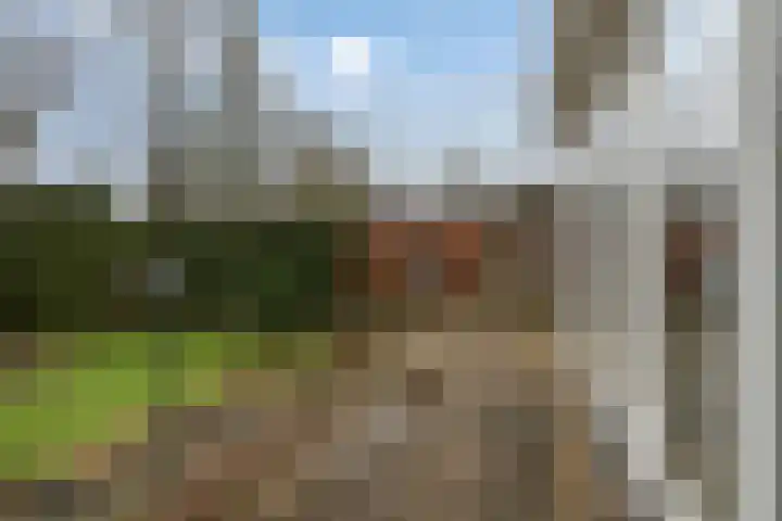 Hintham 148 Rosmalen thumbnail 28