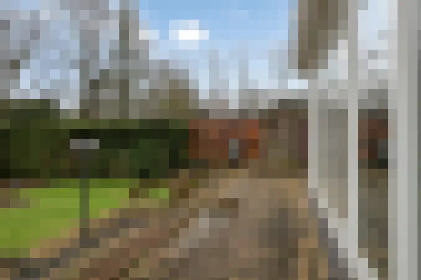 Hintham 148 Rosmalen thumbnail 28