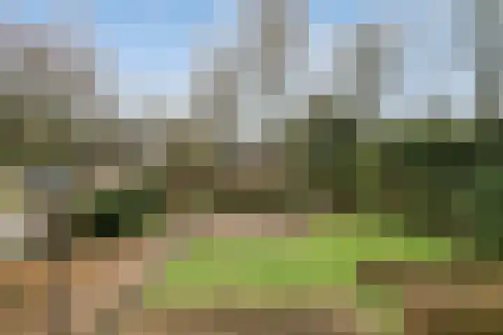 Hintham 148 Rosmalen thumbnail 29