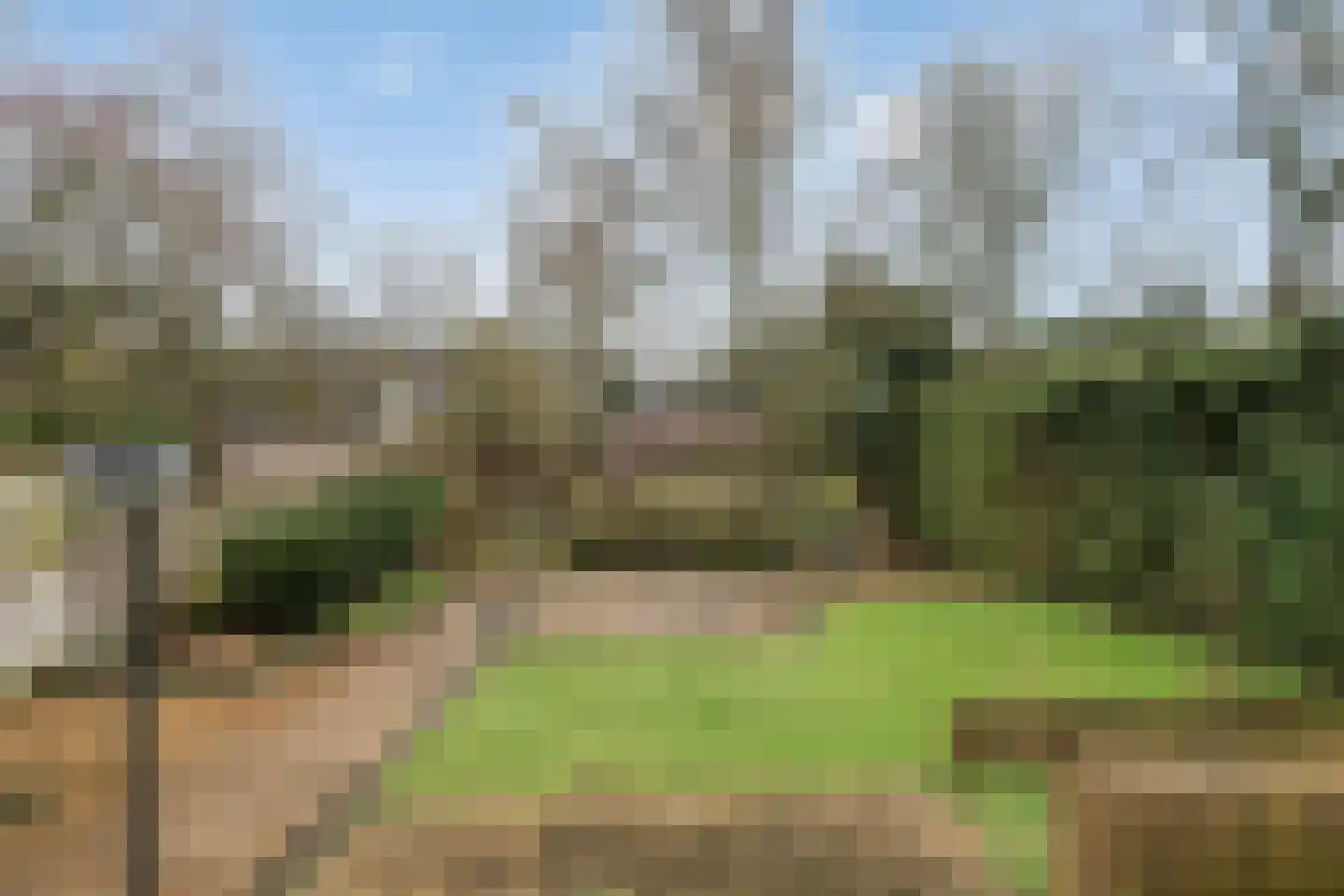 Hintham 148 Rosmalen thumbnail 29