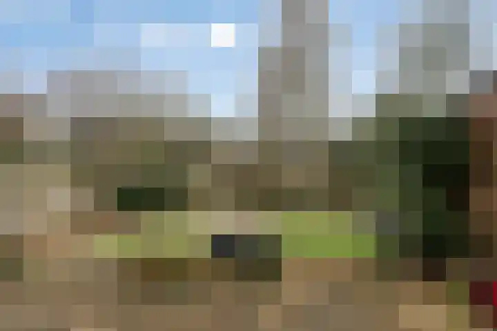 Hintham 148 Rosmalen thumbnail 30