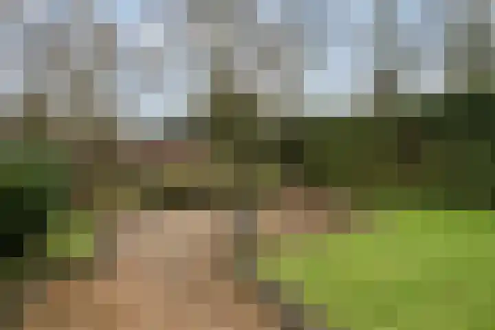 Hintham 148 Rosmalen thumbnail 31