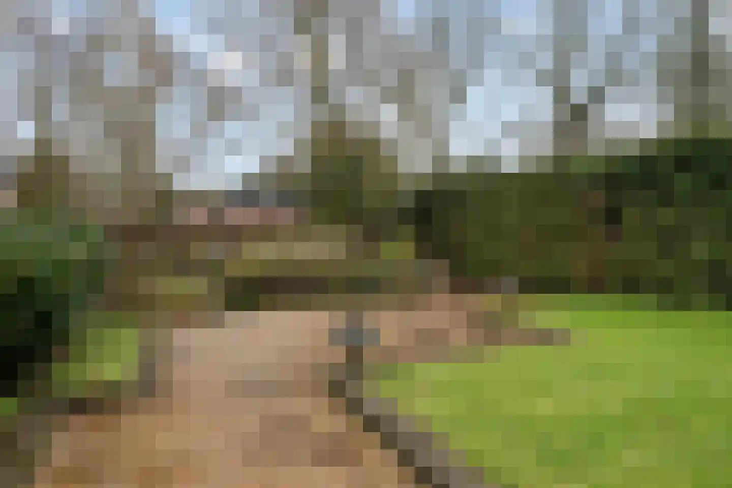 Hintham 148 Rosmalen thumbnail 31