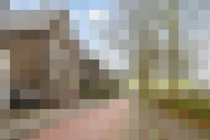 Hintham 148 Rosmalen thumbnail 42