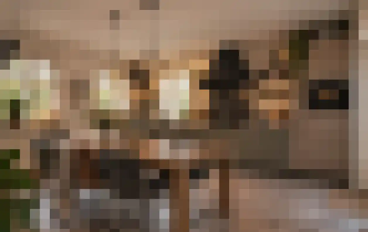 Hintham 18 Kerkdriel thumbnail 11