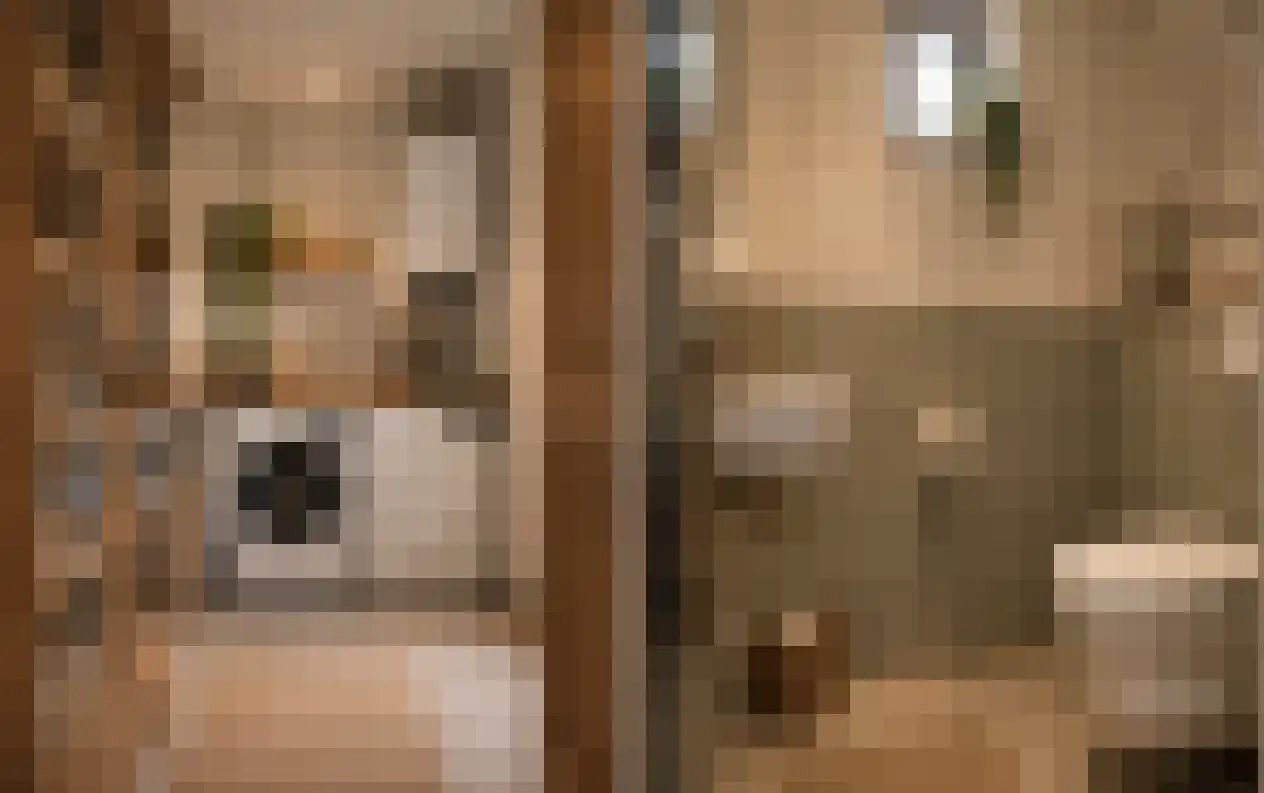 Hintham 18 Kerkdriel thumbnail 24