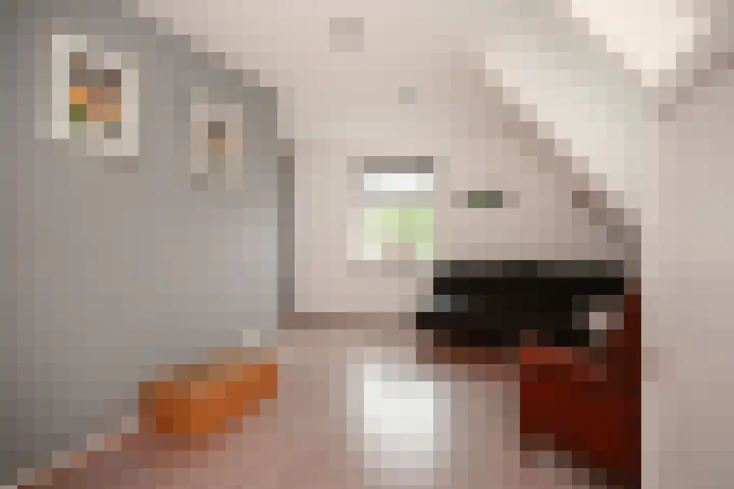 Hintham 18 Kerkdriel thumbnail 28