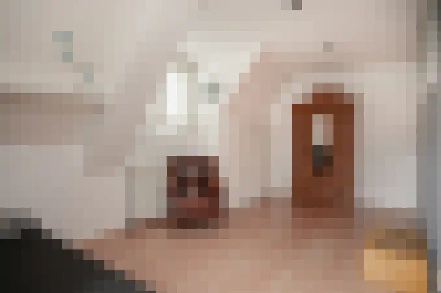 Hintham 18 Kerkdriel thumbnail 30