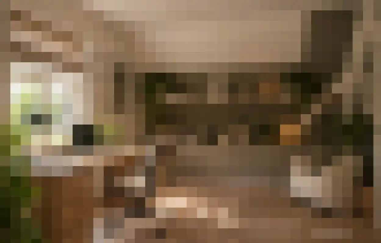 Hintham 18 Kerkdriel thumbnail 35