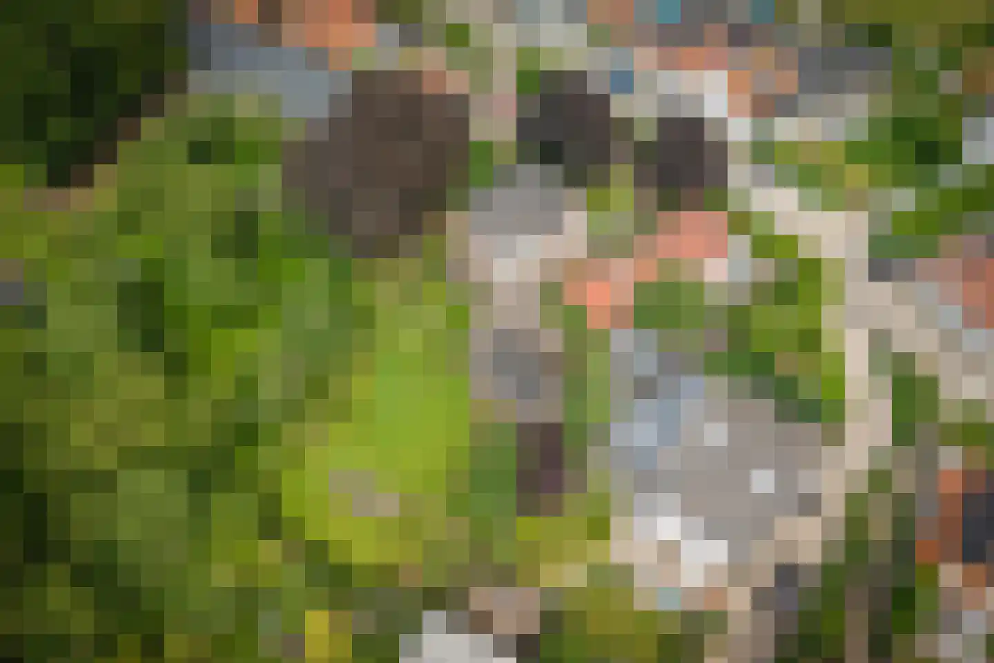Hintham 18 Kerkdriel thumbnail 35