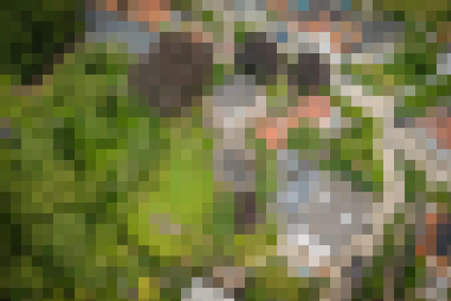 Hintham 18 Kerkdriel thumbnail 39