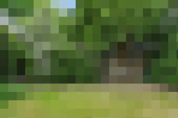 Hintham 26 Rosmalen thumbnail 21