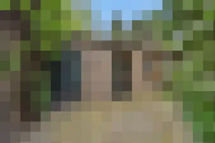 Hintham 26 Rosmalen thumbnail 22