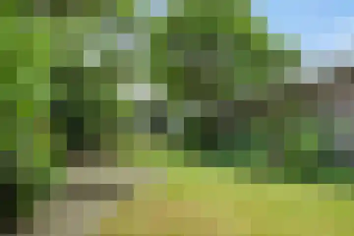 Hintham 26 Rosmalen thumbnail 24