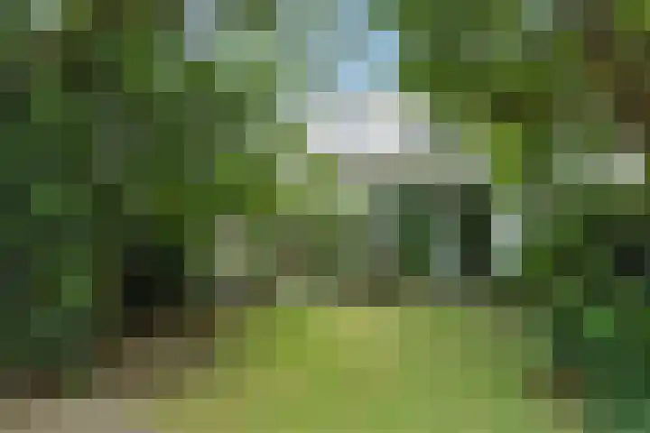 Hintham 26 Rosmalen thumbnail 25