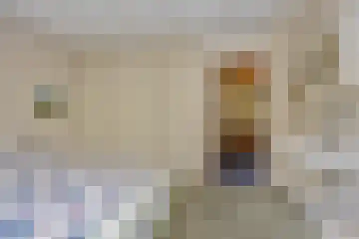 Hintham 26 Rosmalen thumbnail 33