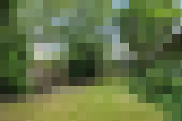 Hintham 26 Rosmalen thumbnail 4