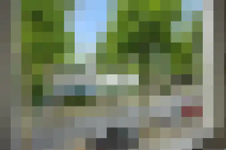 Hintham 26 Rosmalen thumbnail 40