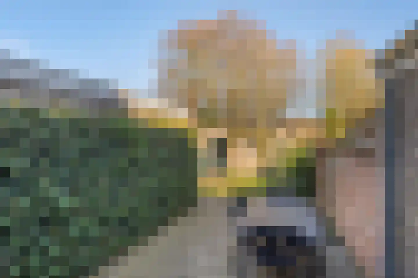 Hintham 4 Rosmalen thumbnail 41