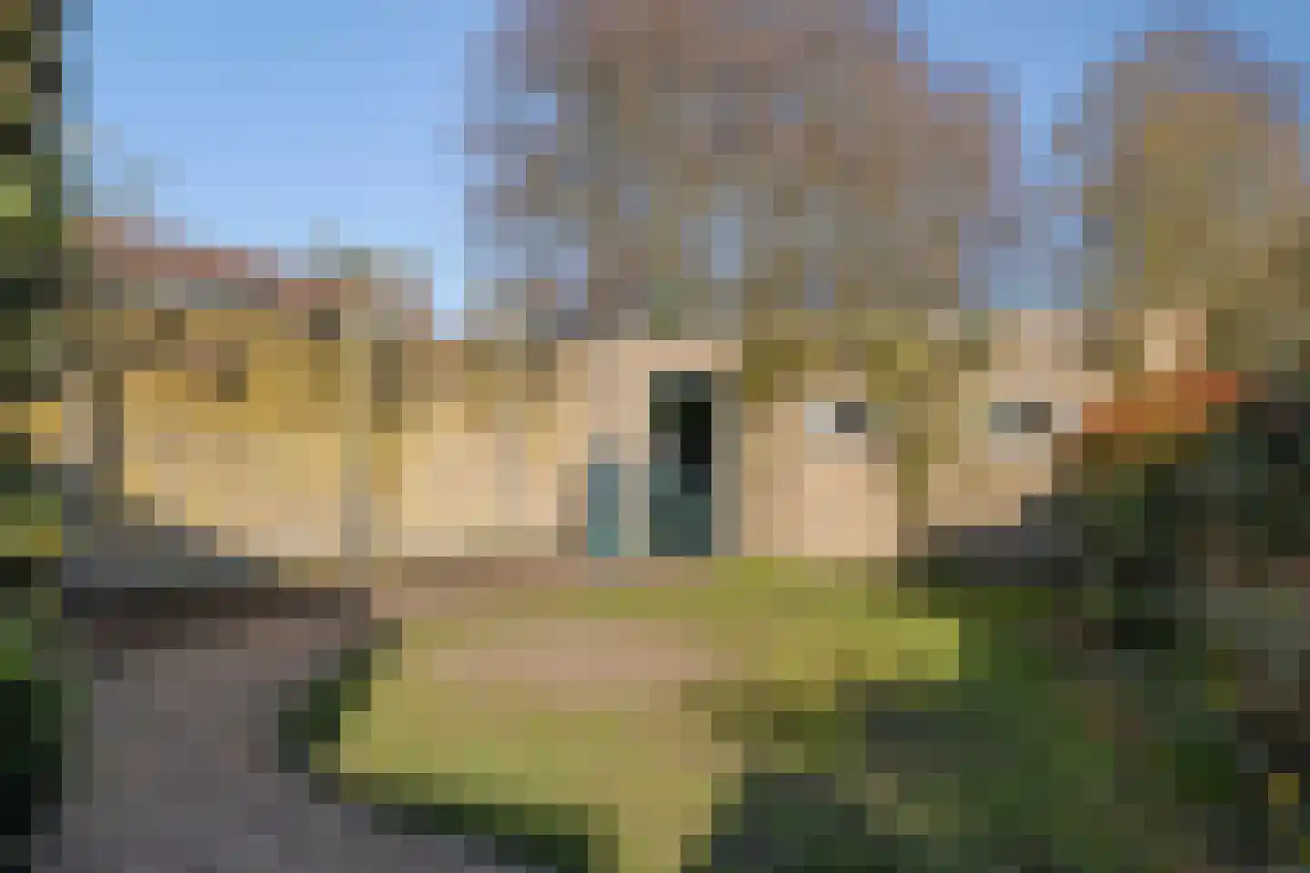 Hintham 4 Rosmalen thumbnail 42