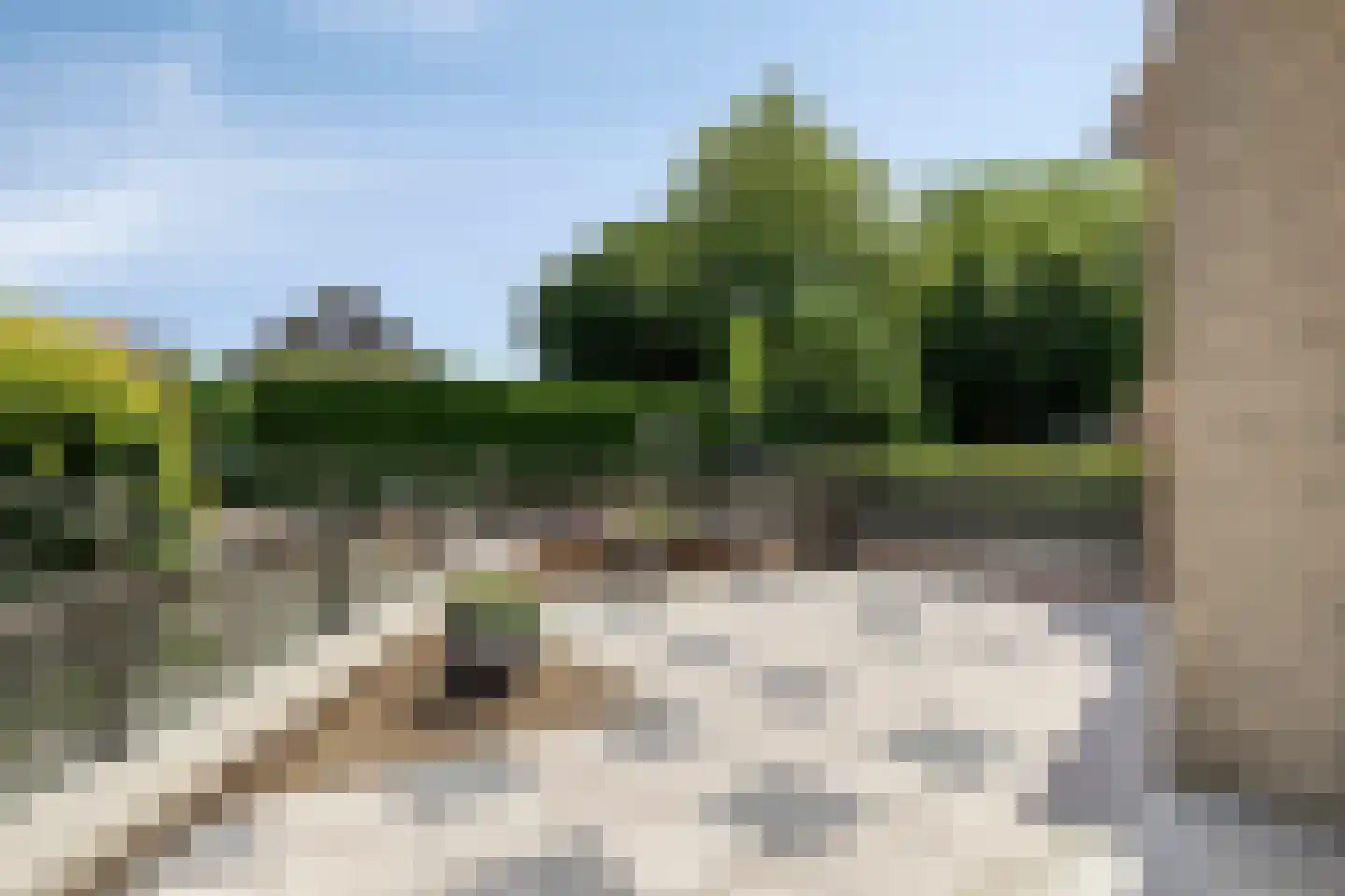 Hintham 49 Rosmalen thumbnail 29