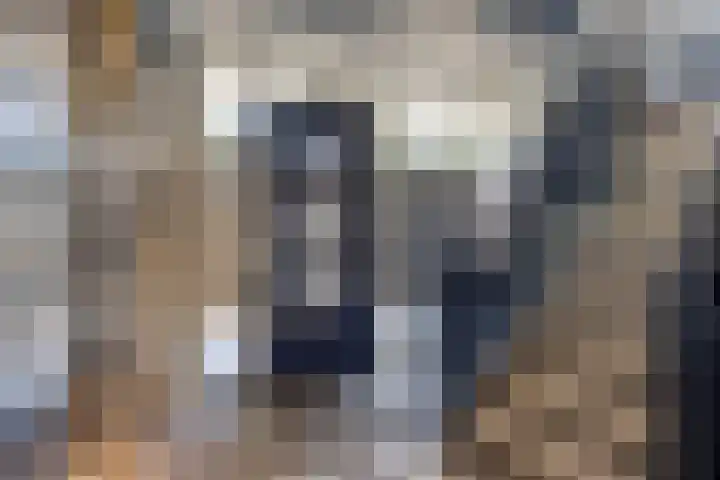 Hintham 51 Rosmalen thumbnail 12