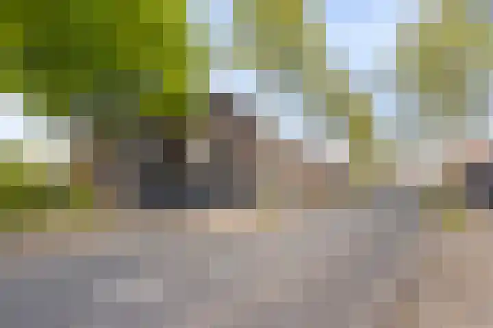 Hintham 54 C Rosmalen thumbnail 4