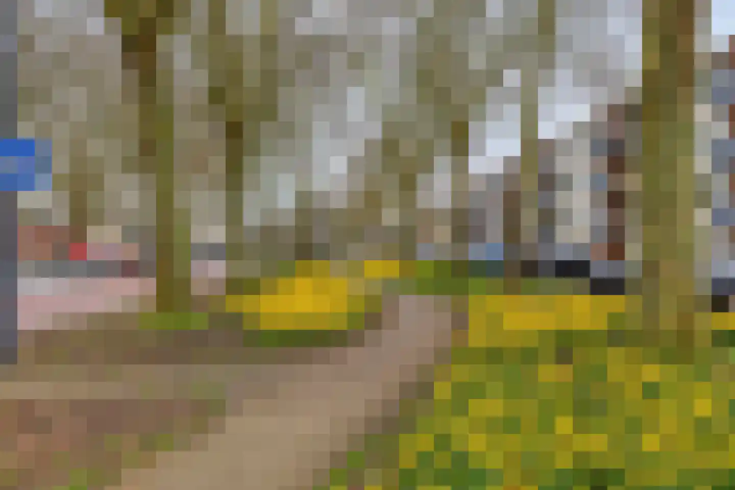 Hintham 66 B Rosmalen thumbnail 25