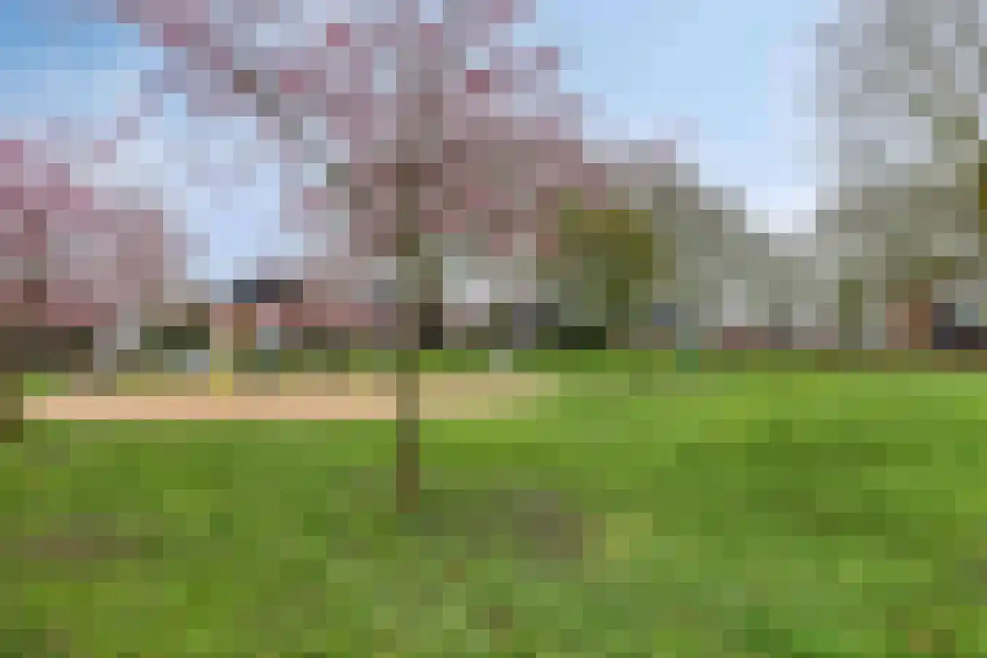Hintham 66 B Rosmalen thumbnail 26