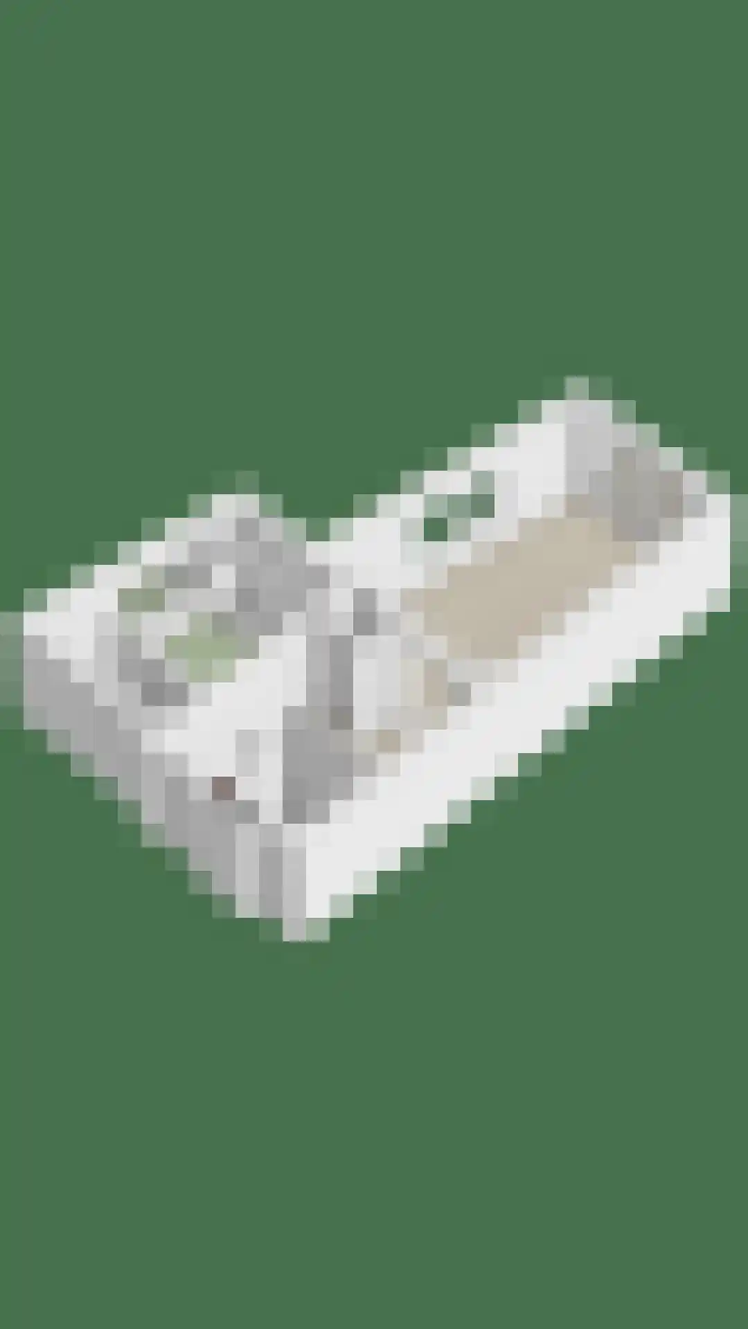 Hintham 66 B Rosmalen thumbnail 32