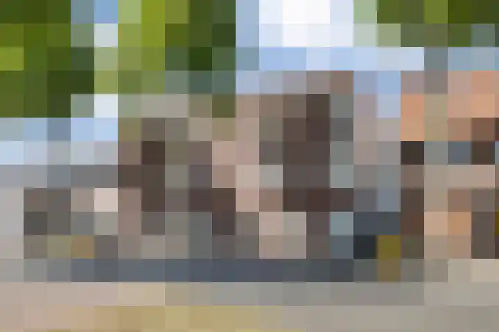 Hintham 66 Rosmalen thumbnail 33