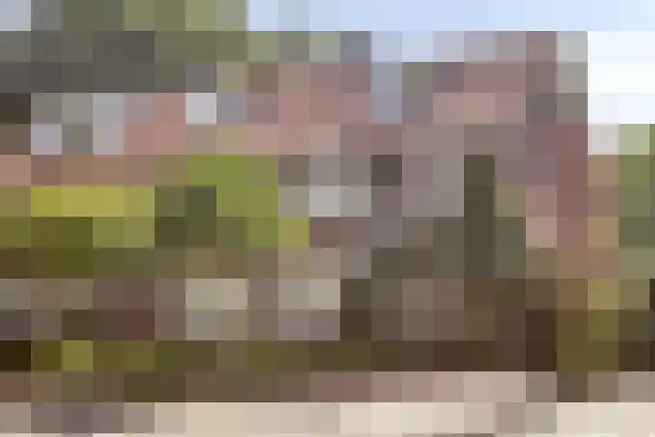 Hintham 7 Rosmalen