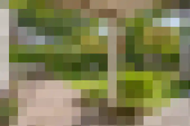 Hintham 7 Rosmalen thumbnail 18