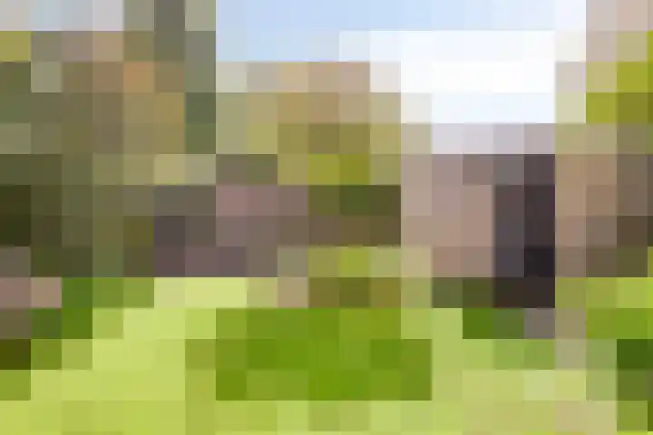 Hintham 7 Rosmalen thumbnail 19