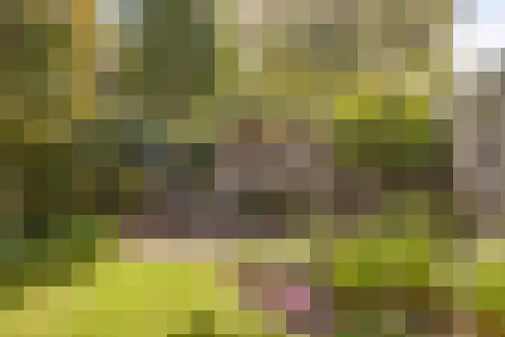 Hintham 7 Rosmalen thumbnail 20