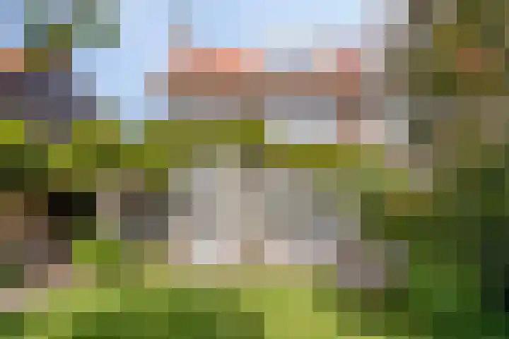 Hintham 7 Rosmalen thumbnail 21