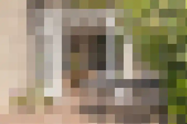 Hintham 7 Rosmalen thumbnail 22