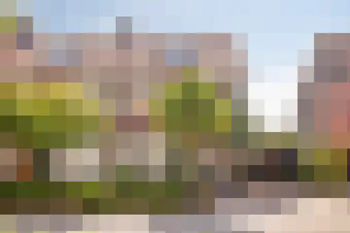 Hintham 7 Rosmalen thumbnail 35
