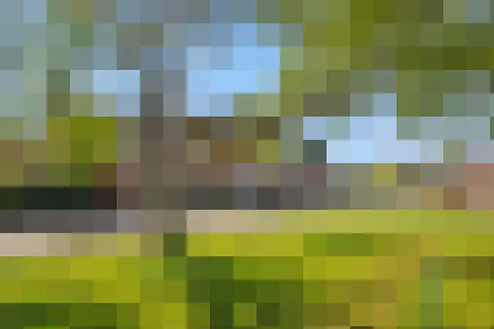 Hintham 7 Rosmalen thumbnail 39