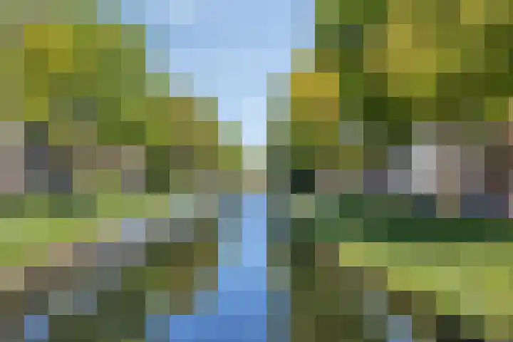 Hinthamereinde 11 's-Hertogenbosch thumbnail 22