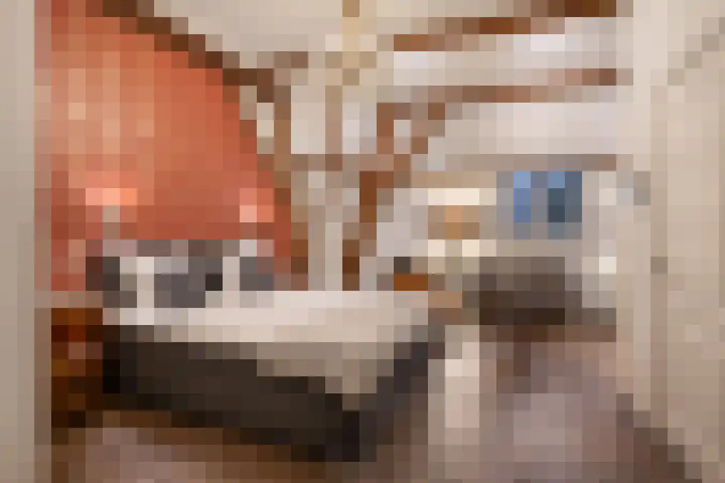 Hinthamereinde 13 's-Hertogenbosch thumbnail 20