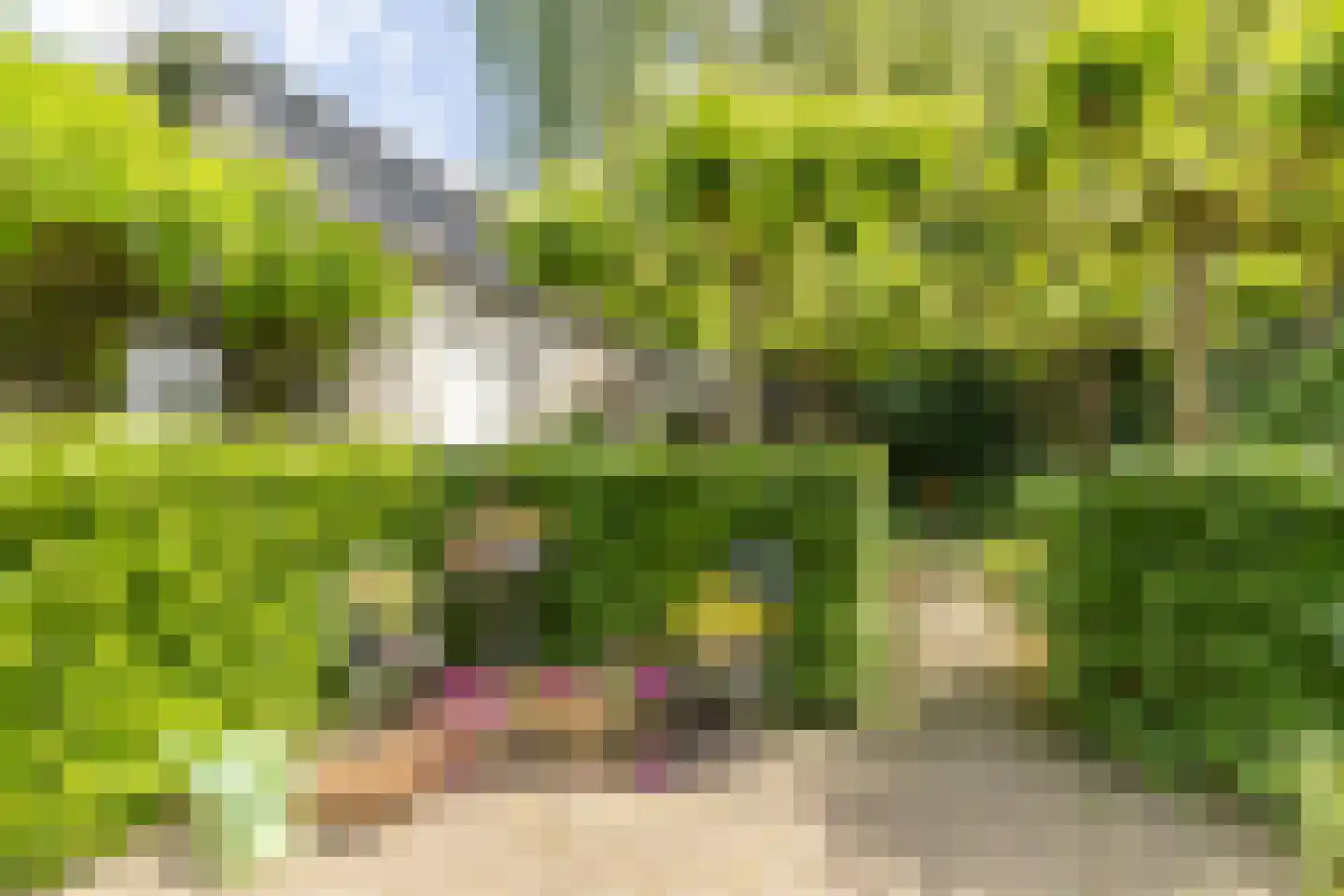 Hinthamereinde 13 's-Hertogenbosch thumbnail 28