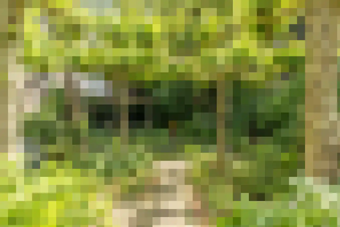 Hinthamereinde 13 's-Hertogenbosch thumbnail 29