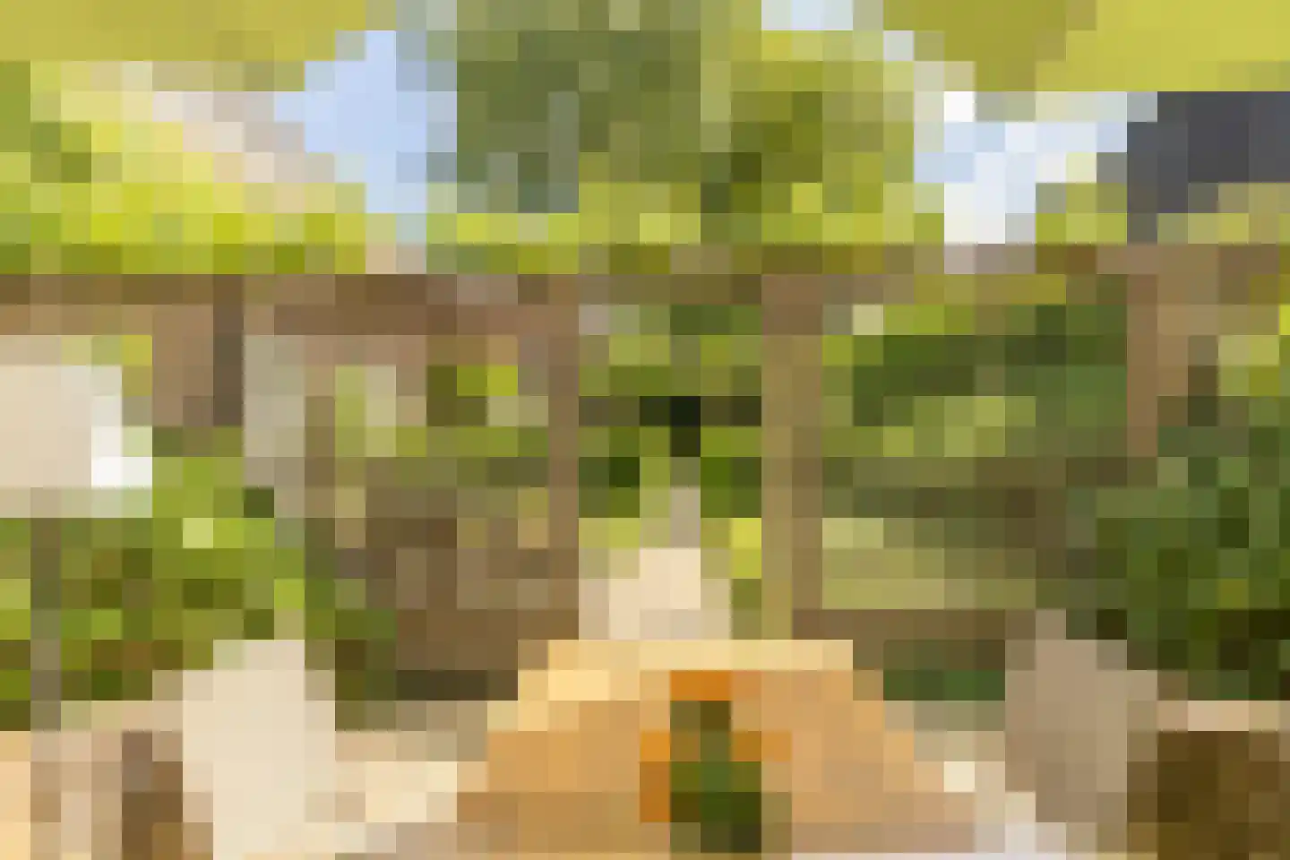 Hinthamereinde 13 's-Hertogenbosch thumbnail 34