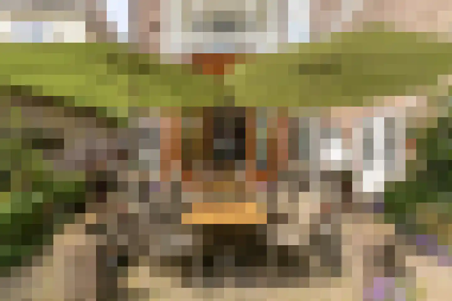 Hinthamereinde 13 's-Hertogenbosch thumbnail 35