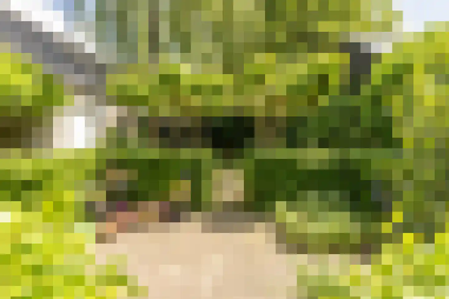 Hinthamereinde 13 's-Hertogenbosch thumbnail 36