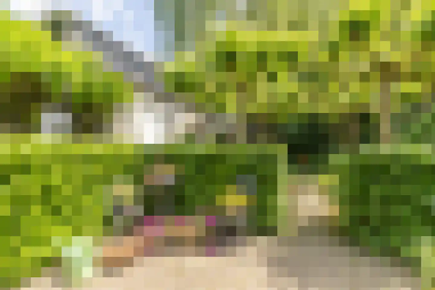 Hinthamereinde 13 's-Hertogenbosch thumbnail 37