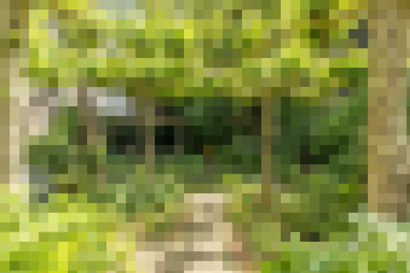 Hinthamereinde 13 's-Hertogenbosch thumbnail 38