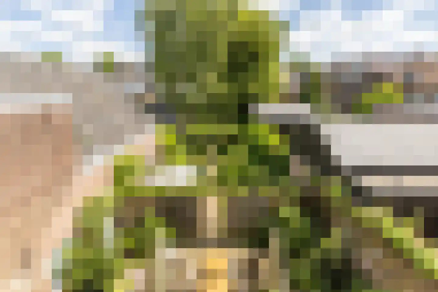 Hinthamereinde 13 's-Hertogenbosch thumbnail 42