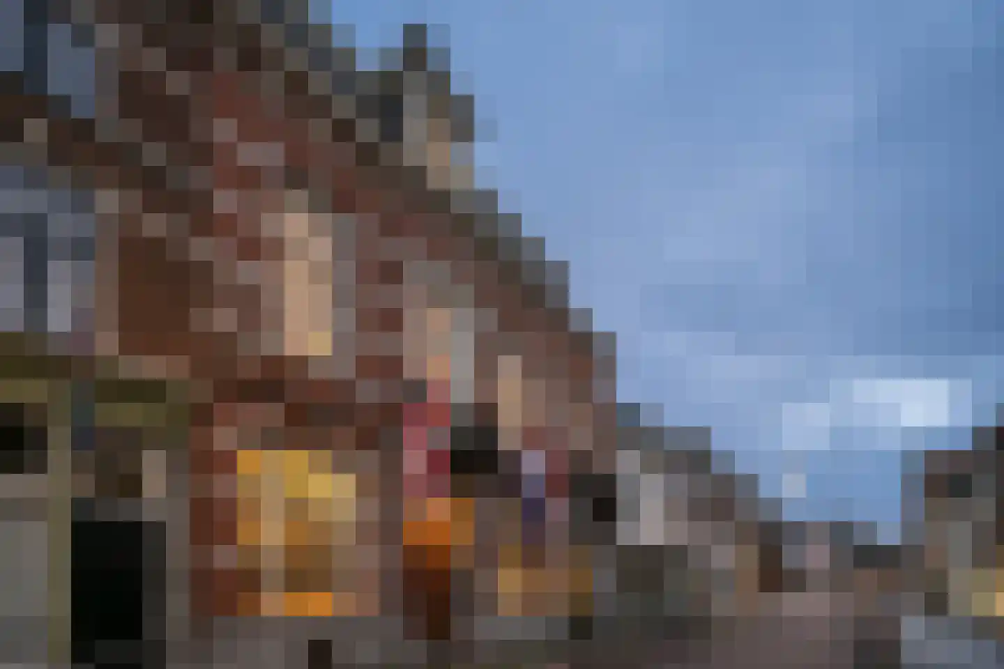 Hinthamereinde 13 's-Hertogenbosch thumbnail 46